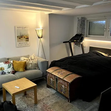 Lovely House In Oslo